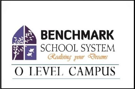 Benchmark school System 