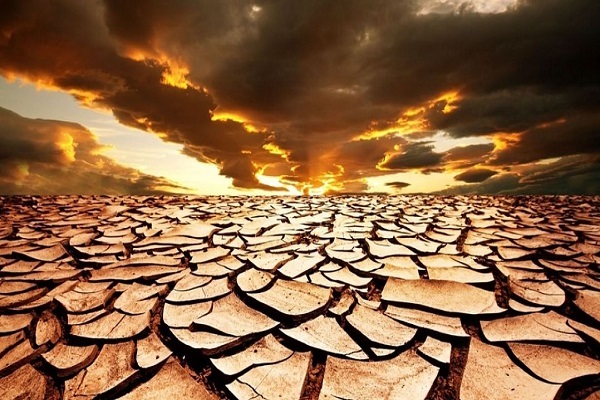  World Day: Saudi Arabia highlights desertification risks