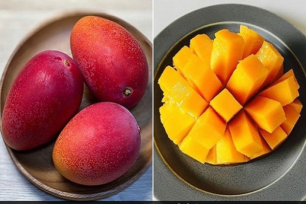  World’s Most Expensive Mango Variety Sold For Rs. 2.7 Lakh