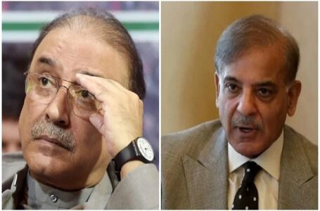 Asif Zardari advises Shehbaz Sharif to continue as PM