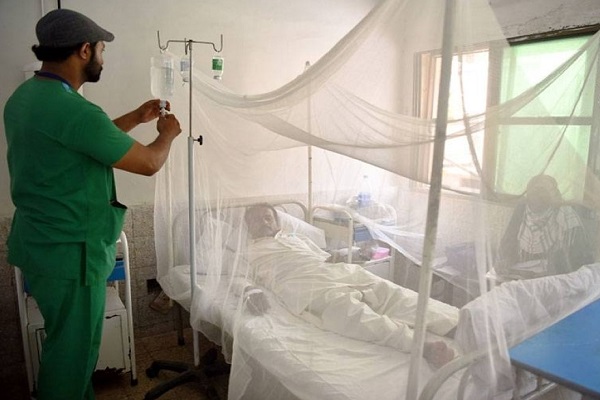  426 dengue virus patients report in a week