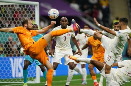 FIFA World Cup: Netherlands ease past Qatar to top Group A