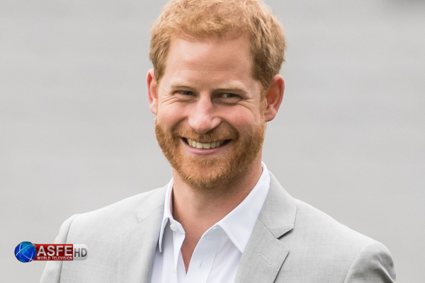  Prince Harry’s ‘The Crown’ Character Slams ‘Frigid’ Prince William