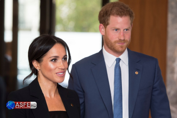  Meghan Markle, Prince Harry warned of potential ‘failure’ in 2024
