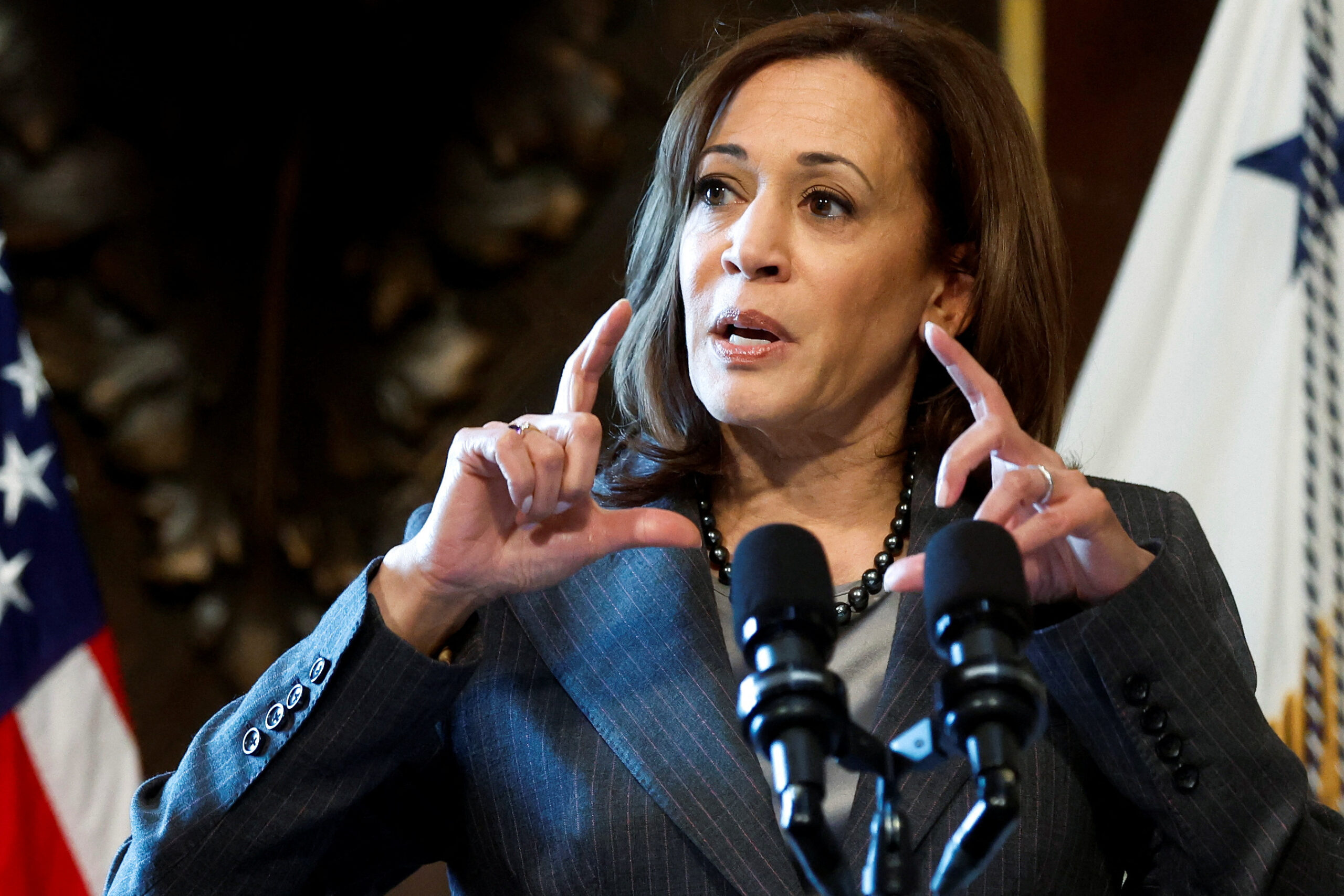 Kamala Harris Urges Immediate Ceasefire in Gaza, Calls for Increased Aid Deliveries