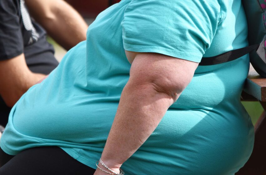  WHO: Over One Billion People Globally Afflicted with Obesity