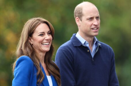 Kate Middleton’s Reaction as Prince William Stays Occupied Standing in for King Charles